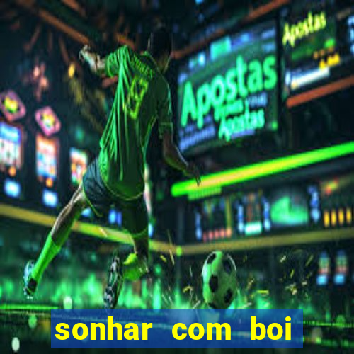 sonhar com boi jogo do bicho